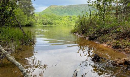 Photo #10 of 1155 Holly Grove, Lambsburg, VA 63.3 acres