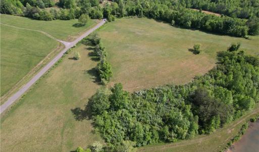 Photo #8 of 1155 Holly Grove, Lambsburg, VA 63.3 acres