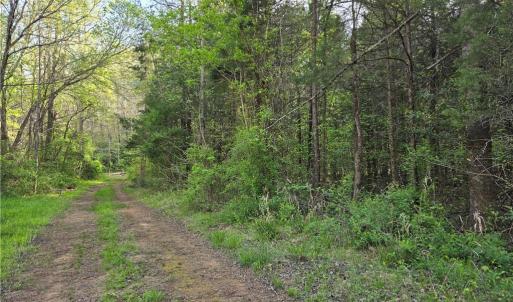 Photo #6 of Hoover Hill, Asheboro, NC 26.6 acres