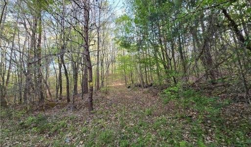 Photo #13 of Hoover Hill, Asheboro, NC 26.6 acres