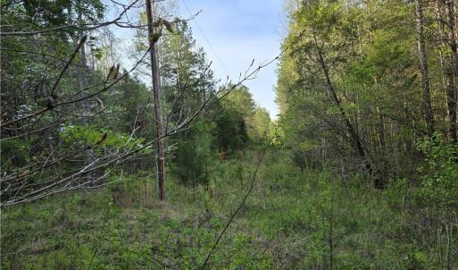 Photo #17 of Hoover Hill, Asheboro, NC 26.6 acres