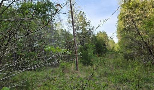 Photo #16 of Hoover Hill, Asheboro, NC 26.6 acres