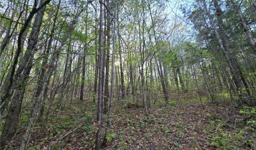 Photo #12 of Hoover Hill, Asheboro, NC 26.6 acres