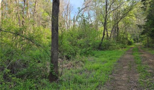 Photo #7 of Hoover Hill, Asheboro, NC 26.6 acres