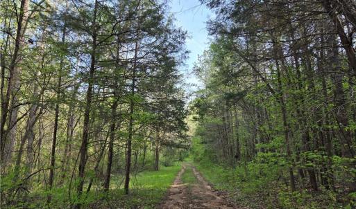 Photo #3 of Hoover Hill, Asheboro, NC 26.6 acres