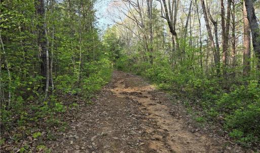 Photo #1 of Hoover Hill, Asheboro, NC 26.6 acres
