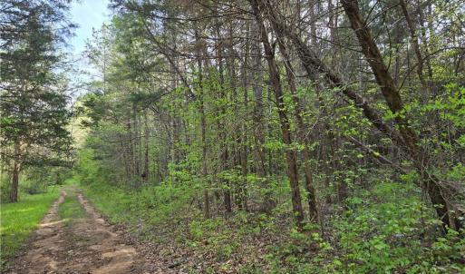 Photo #5 of Hoover Hill, Asheboro, NC 26.6 acres