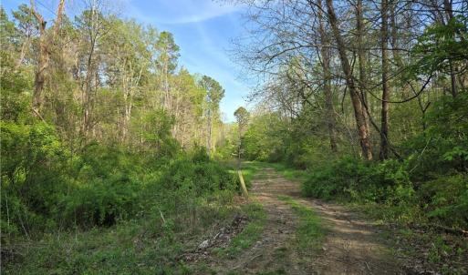 Photo #9 of Hoover Hill, Asheboro, NC 26.6 acres