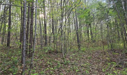 Photo #10 of Hoover Hill, Asheboro, NC 26.6 acres