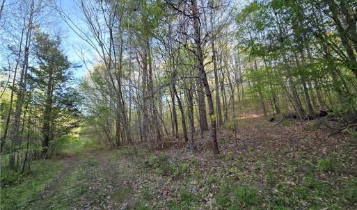 Photo #14 of Hoover Hill, Asheboro, NC 26.6 acres