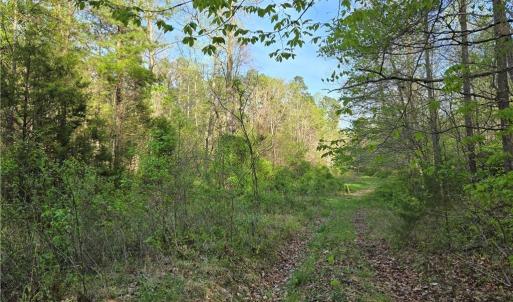 Photo #18 of Hoover Hill, Asheboro, NC 26.6 acres
