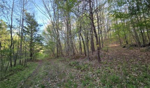 Photo #15 of Hoover Hill, Asheboro, NC 26.6 acres