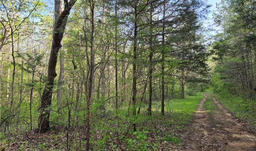 Photo #4 of Hoover Hill, Asheboro, NC 26.6 acres