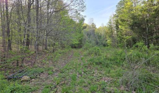 Photo #8 of Hoover Hill, Asheboro, NC 26.6 acres