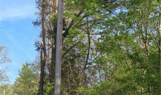 Photo #21 of Hoover Hill, Asheboro, NC 26.6 acres