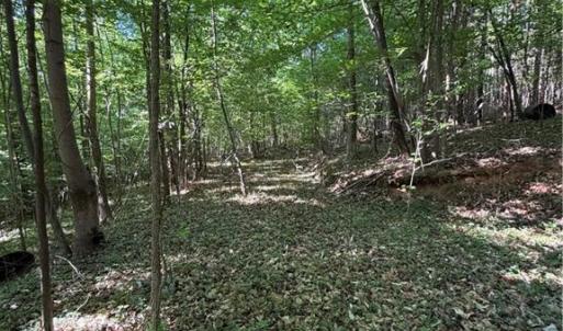 Photo #9 of Partridge, Lexington, NC 0.7 acres