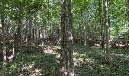 Photo #10 of Partridge, Lexington, NC 0.7 acres