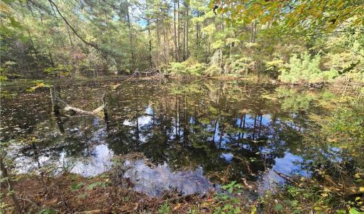 Photo #7 of Bass Mountain, Snow Camp, NC 18.1 acres