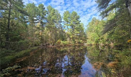 Photo #1 of Bass Mountain, Snow Camp, NC 18.1 acres