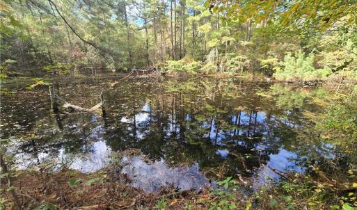 Photo #7 of Bass Mountain, Snow Camp, NC 18.1 acres