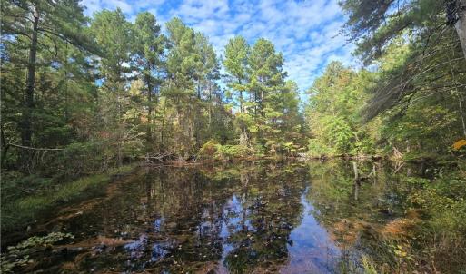 Photo #1 of Bass Mountain, Snow Camp, NC 18.1 acres