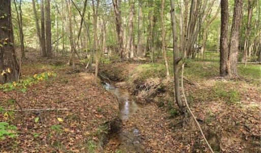 Photo #5 of Bass Mountain, Snow Camp, NC 18.1 acres