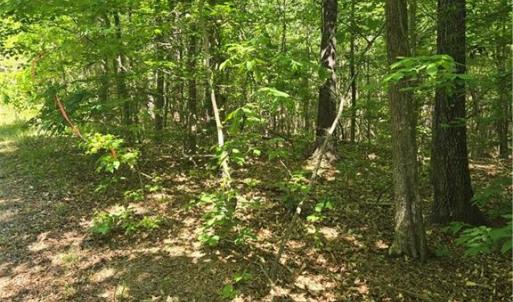 Photo #9 of Bass Mountain, Snow Camp, NC 18.1 acres