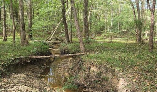 Photo #4 of Bass Mountain, Snow Camp, NC 18.1 acres