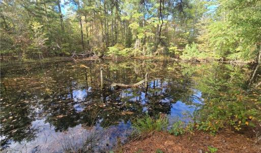 Photo #8 of Bass Mountain, Snow Camp, NC 18.1 acres