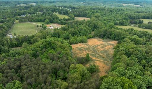 Photo #6 of 4275 Grubbs, Walkertown, NC 65.0 acres