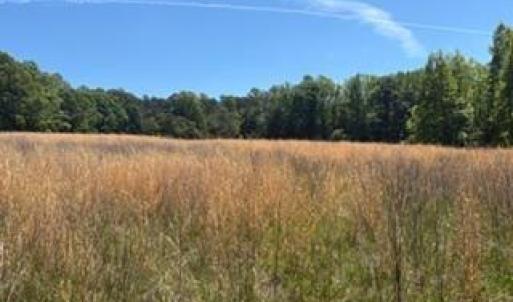 Photo #13 of 4275 Grubbs, Walkertown, NC 65.0 acres