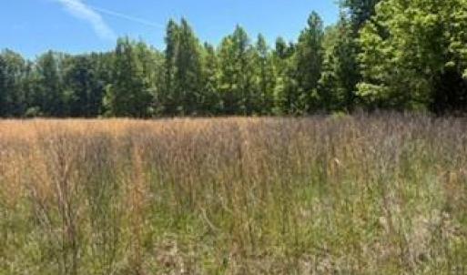 Photo #12 of 4275 Grubbs, Walkertown, NC 65.0 acres