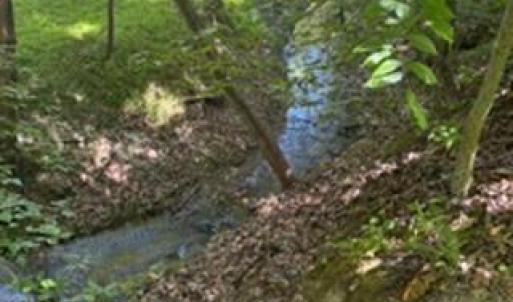 Photo #14 of 4275 Grubbs, Walkertown, NC 65.0 acres