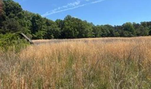 Photo #11 of 4275 Grubbs, Walkertown, NC 65.0 acres