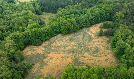 Photo #4 of 4275 Grubbs, Walkertown, NC 65.0 acres