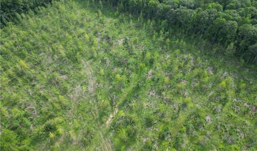 Photo #23 of NC Highway 49, Denton, NC 80.0 acres