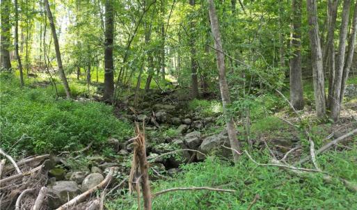 Photo #13 of NC Highway 49, Denton, NC 80.0 acres