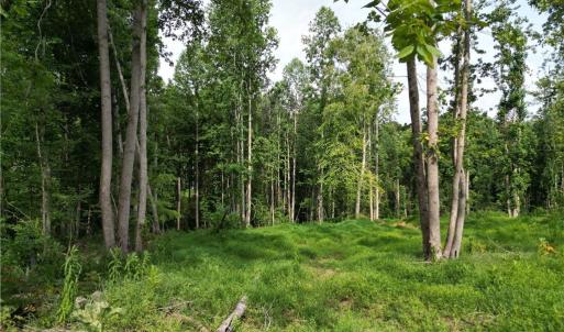 Photo #17 of NC Highway 49, Denton, NC 80.0 acres