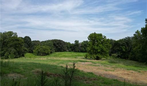 Photo #26 of NC Highway 49, Denton, NC 80.0 acres