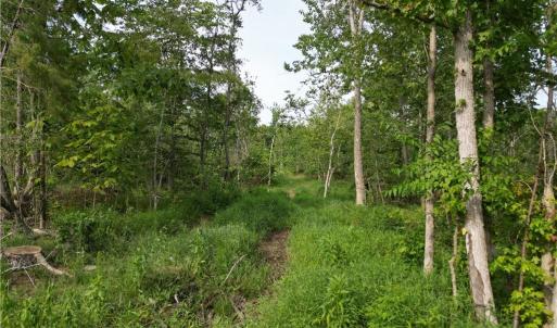 Photo #22 of NC Highway 49, Denton, NC 80.0 acres