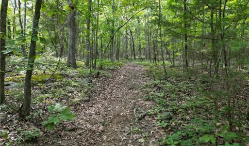 Photo #28 of NC Highway 49, Denton, NC 80.0 acres