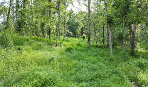 Photo #18 of NC Highway 49, Denton, NC 80.0 acres