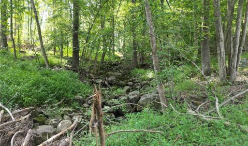 Photo #13 of NC Highway 49, Denton, NC 80.0 acres