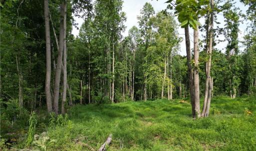 Photo #17 of NC Highway 49, Denton, NC 80.0 acres