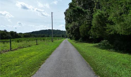 Photo #3 of NC Highway 49, Denton, NC 80.0 acres