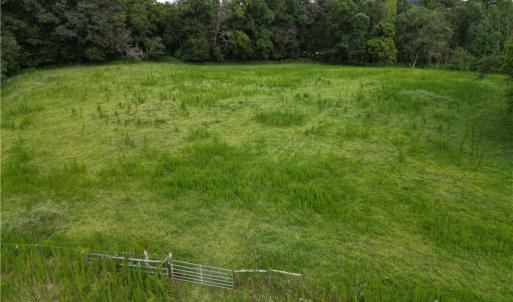 Photo #32 of NC Highway 49, Denton, NC 80.0 acres