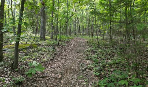 Photo #28 of NC Highway 49, Denton, NC 80.0 acres