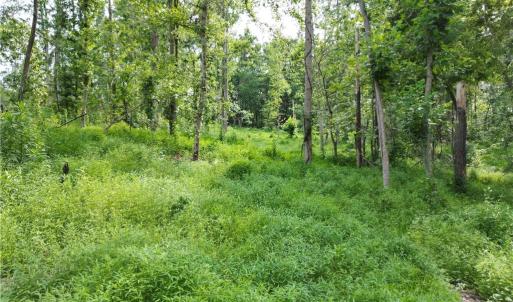 Photo #18 of NC Highway 49, Denton, NC 80.0 acres