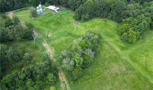 Photo #31 of NC Highway 49, Denton, NC 80.0 acres