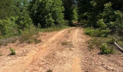 Photo #2 of 467 Crousetown, Lexington, NC 41.9 acres